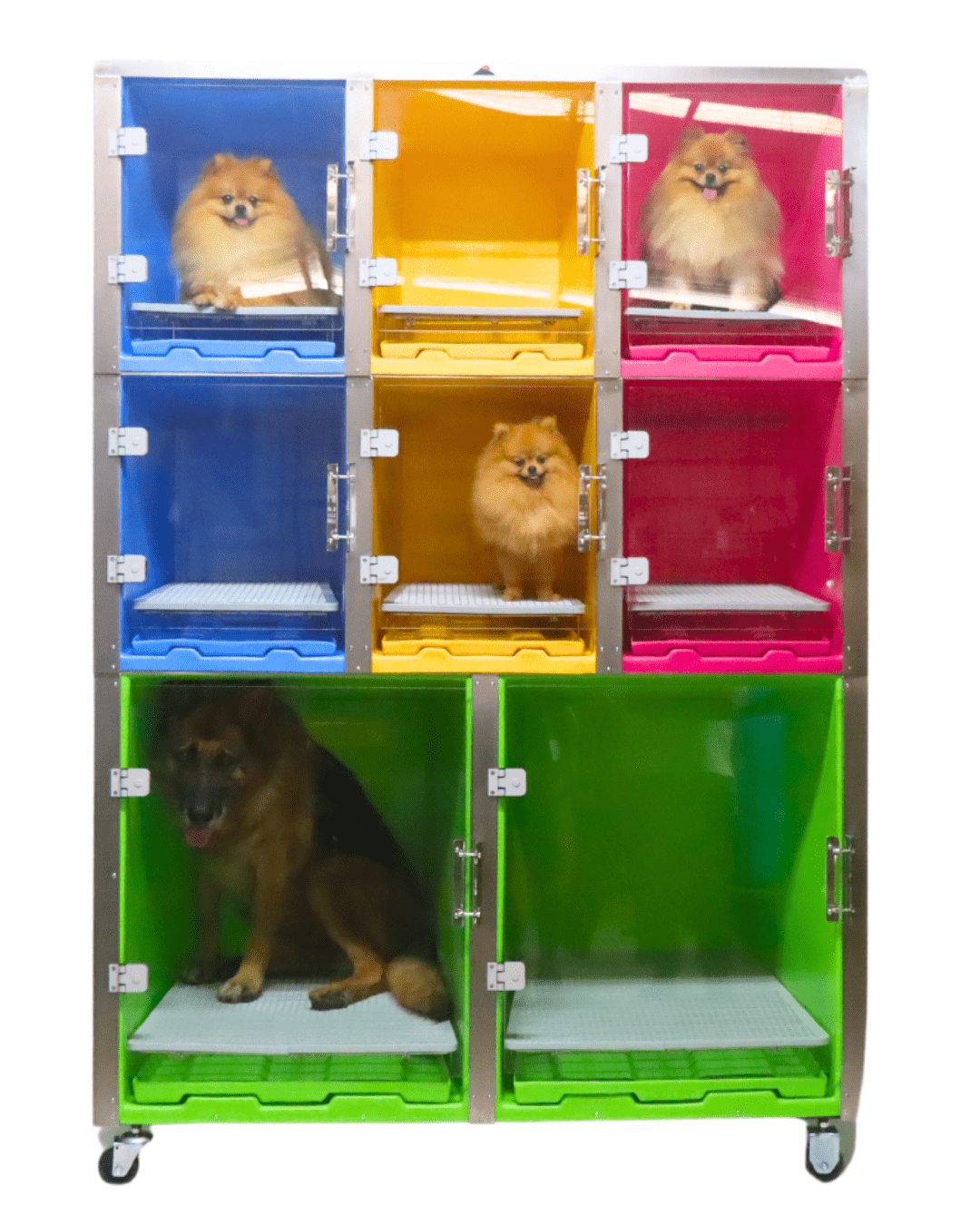 CANIL PET KENNEL COLORIDO 2/6 - ATACAMA