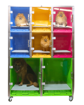 CANIL PET KENNEL COLORIDO 2/6 - ATACAMA